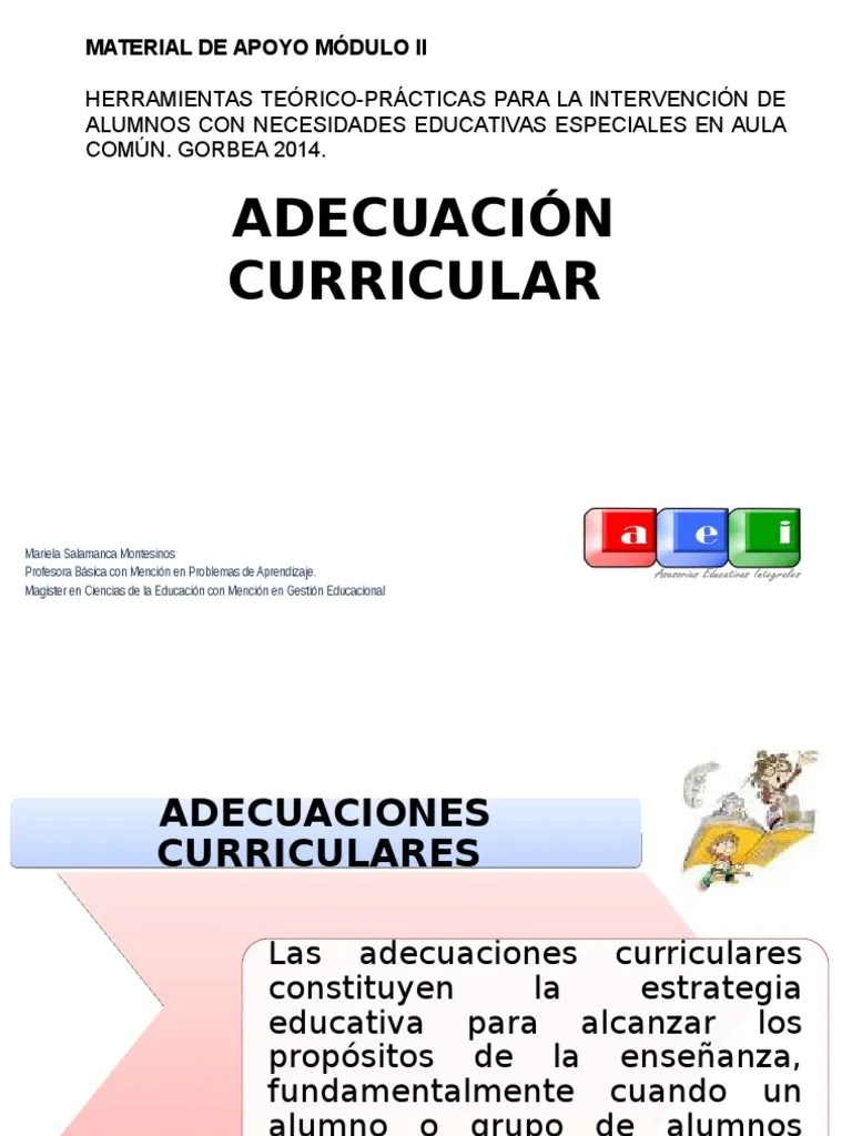 Adecuacion Curricular Maestros Aprendizaje