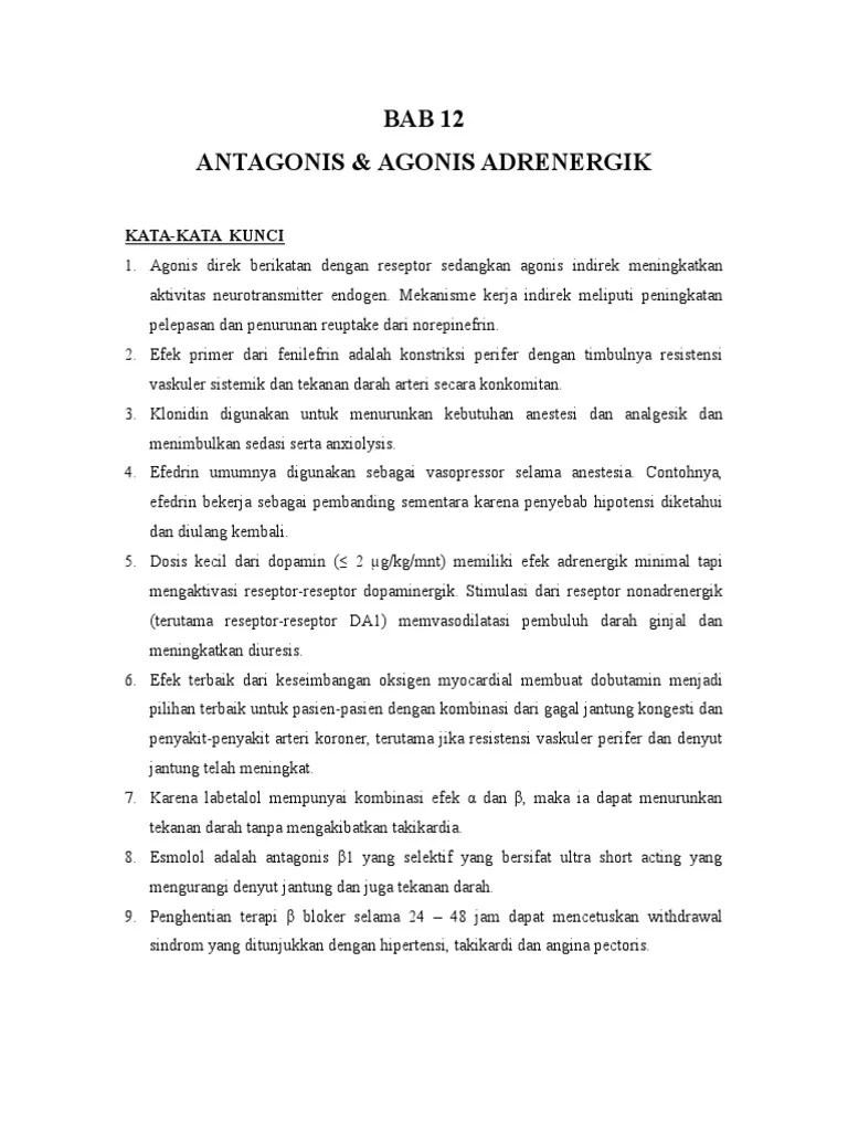 12 Antagonis &amp; Agonis Adrenergik | PDF