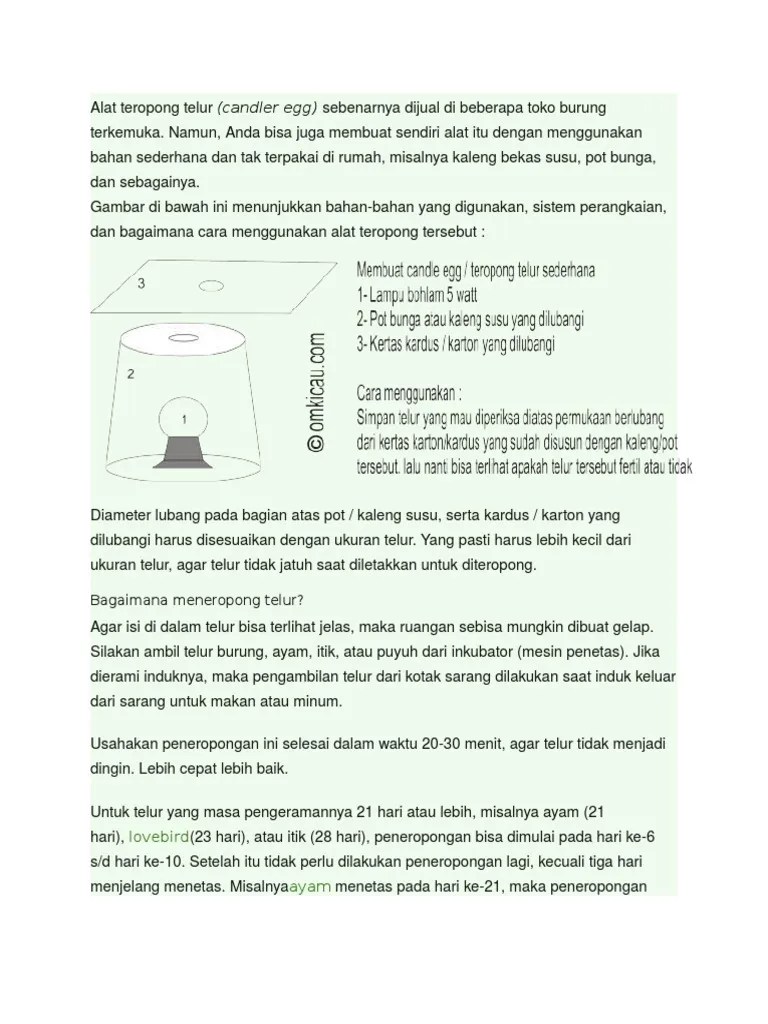 Cara Membuat Teropong Sederhana Dari Karton – Belajar