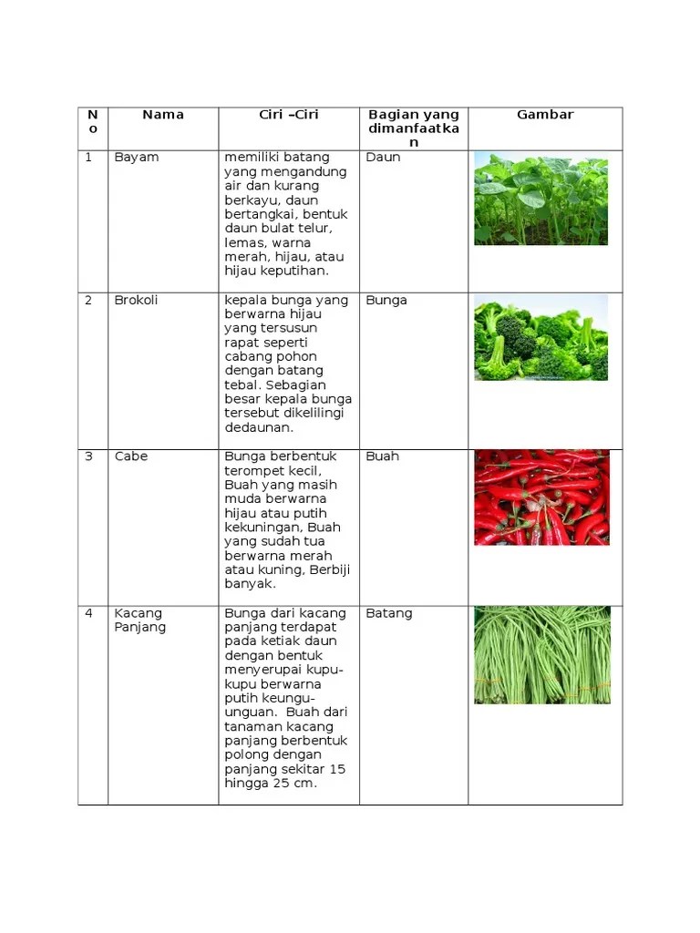 Tumbuhan Dan Ciri-Cirinya | PDF