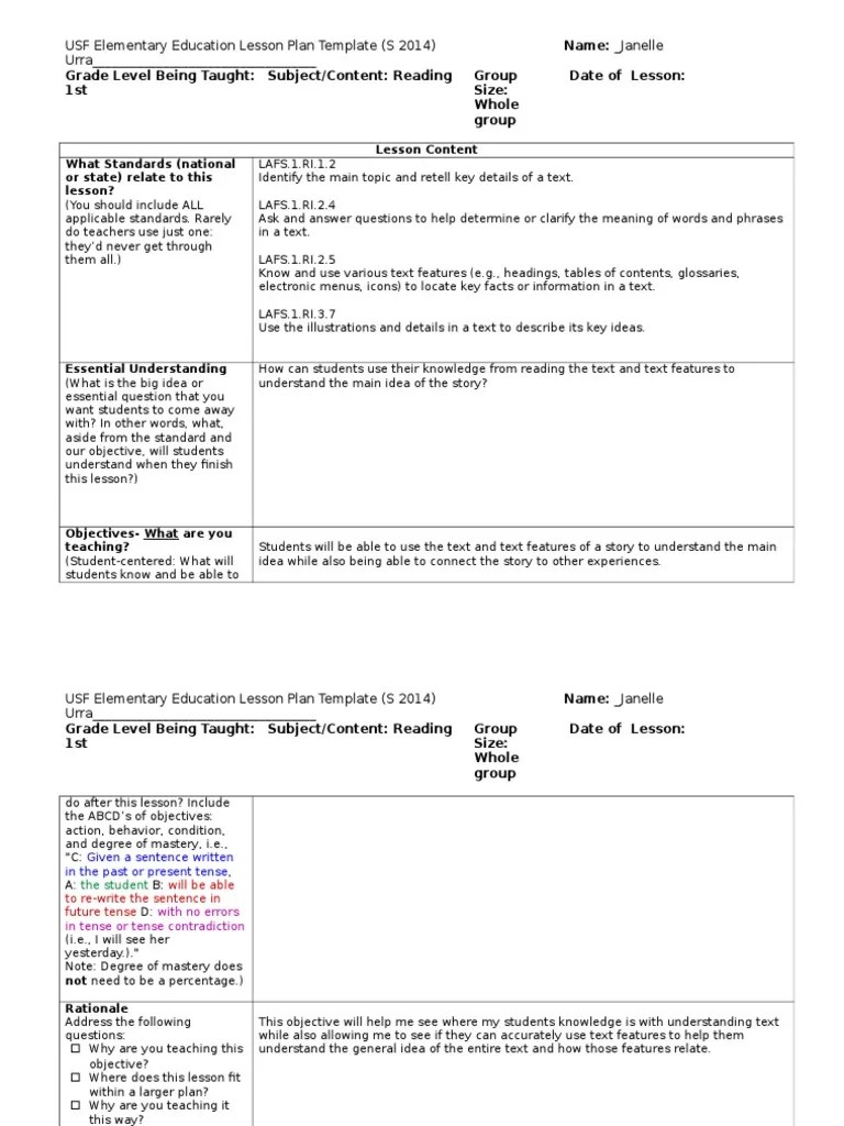 CT Lesson Plan 2 Spring PDF Differentiated Instruction Lesson Plan