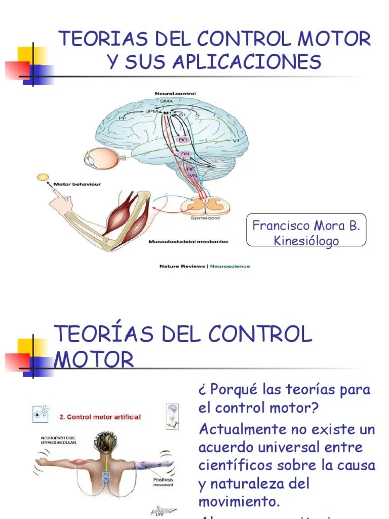Teorias Control Motor Neurona Movimiento (física)