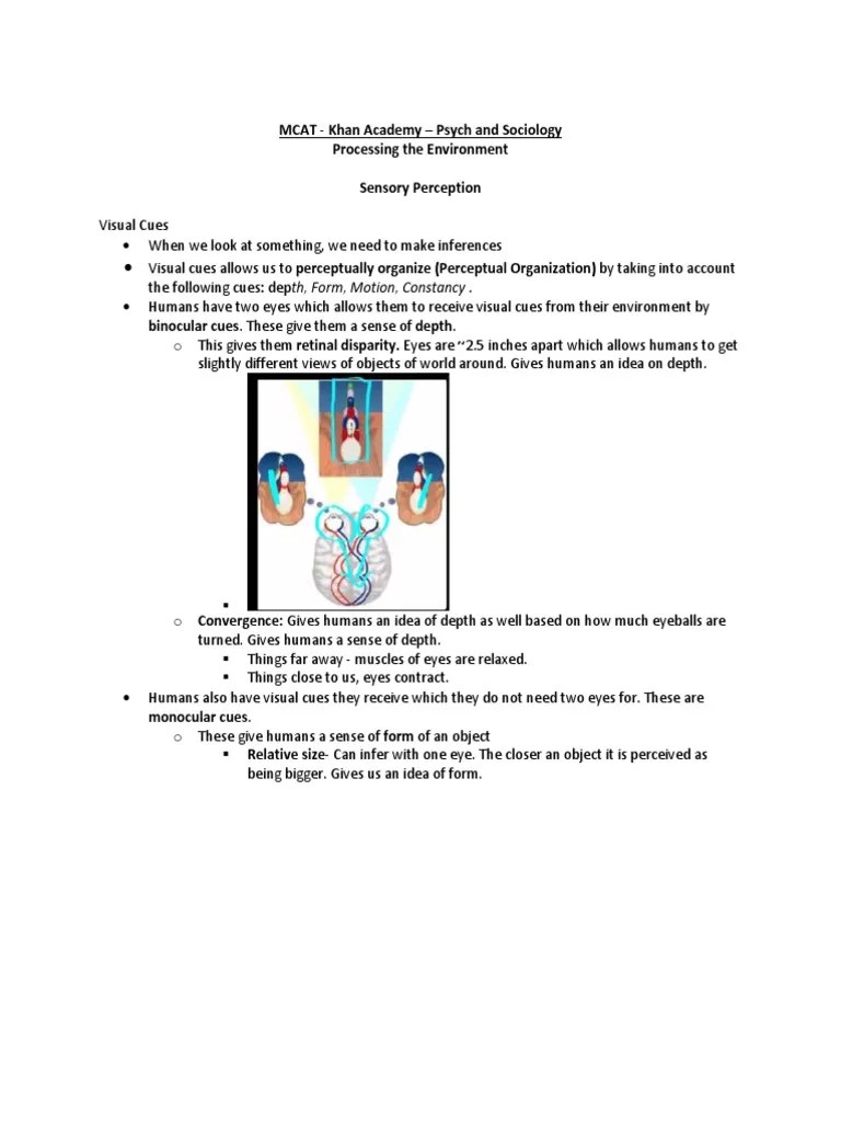 Khan Academy Notes Psych and Sociology For MCAT PDF Olfaction Sleep