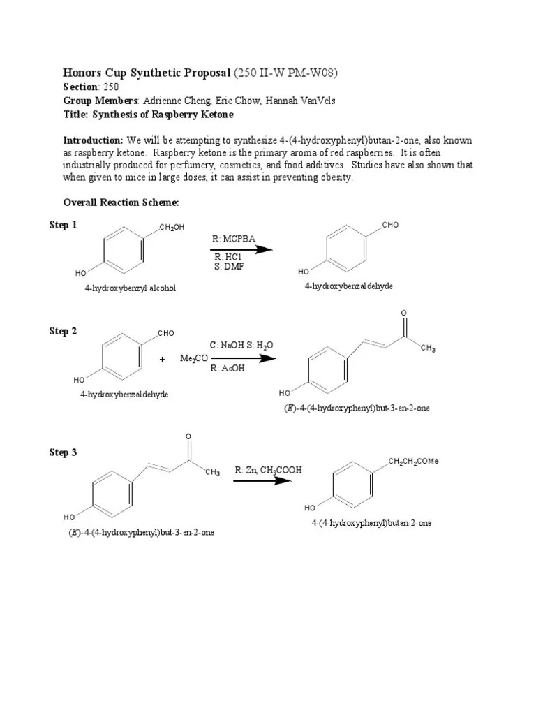 Synthesis of Raspberry Ketone PDF Tetrahydrofuran Sodium Hydroxide