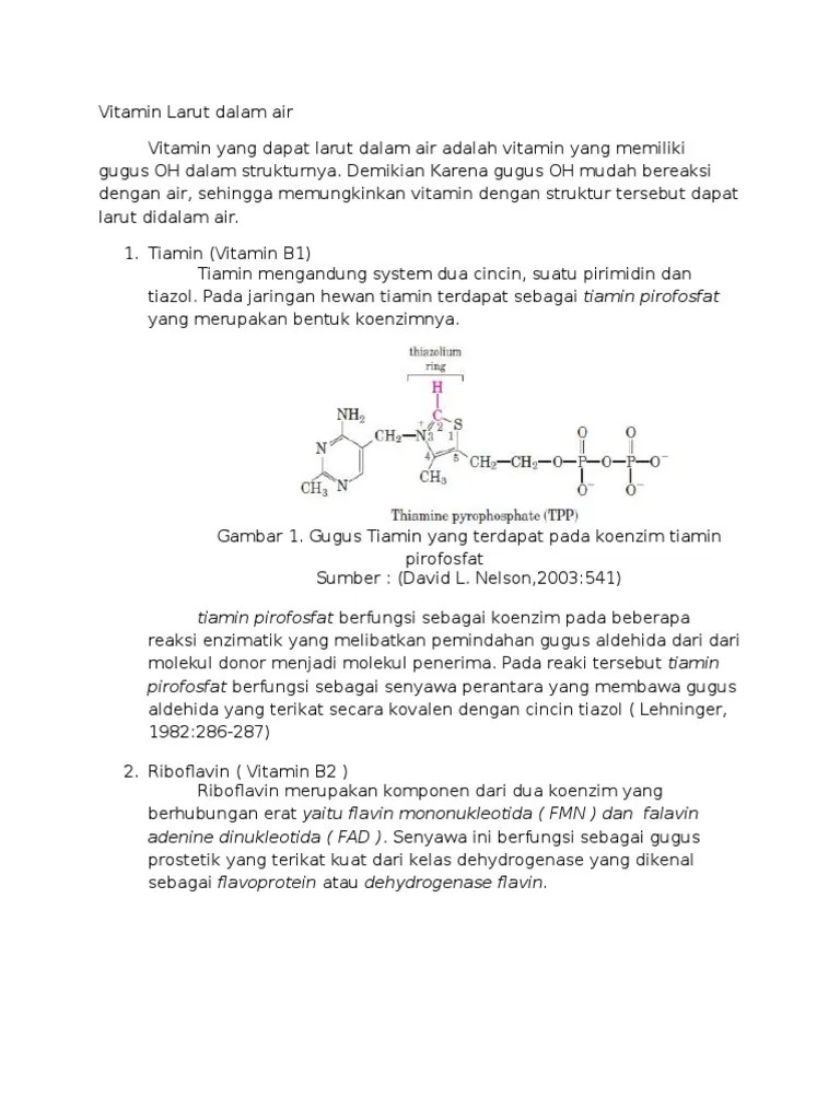 Vitamin Larut Dalam Air | PDF