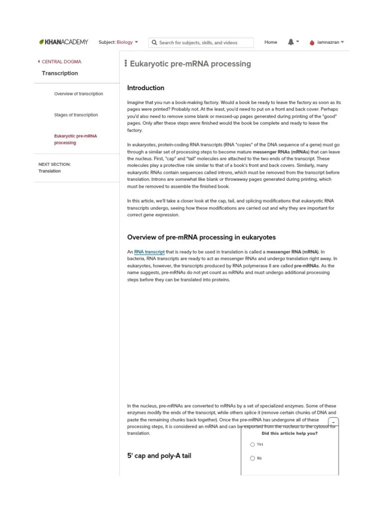 Eukaryotic PremRNA Processing Transcription Khan Academy PDF Messenger Rna Intron