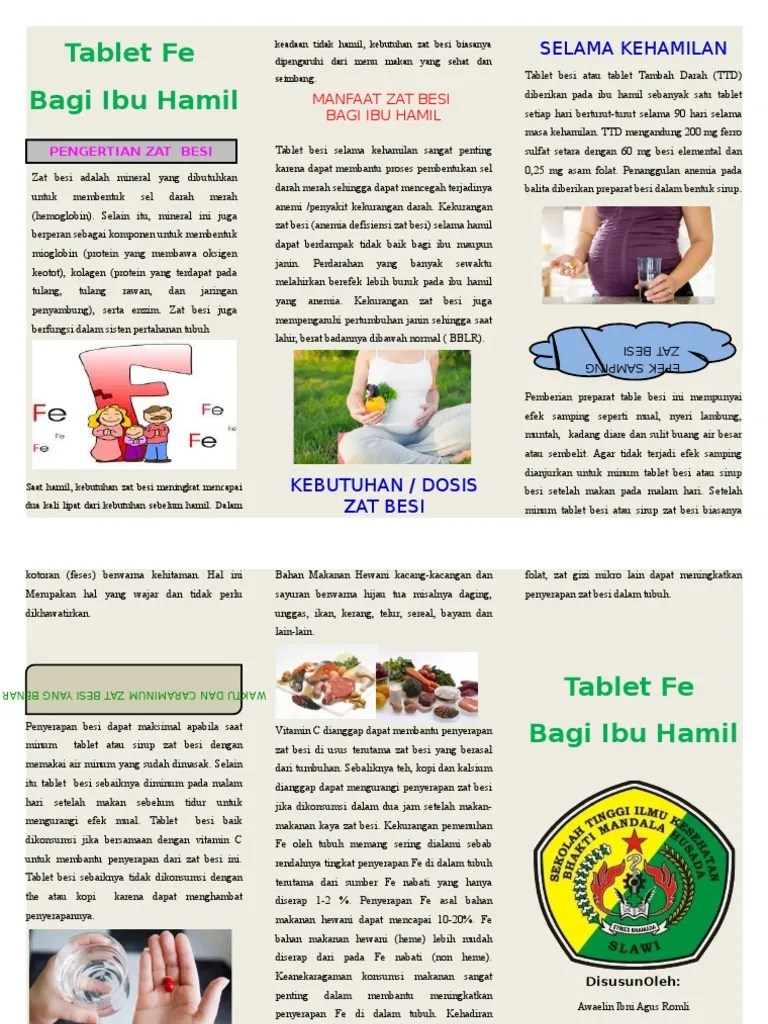 Leaflet Zat Besi PDF