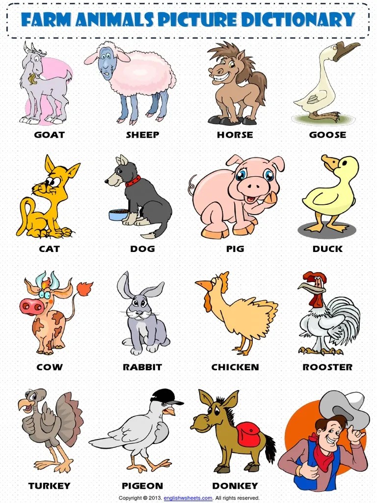 animals pictionary 2.pdf