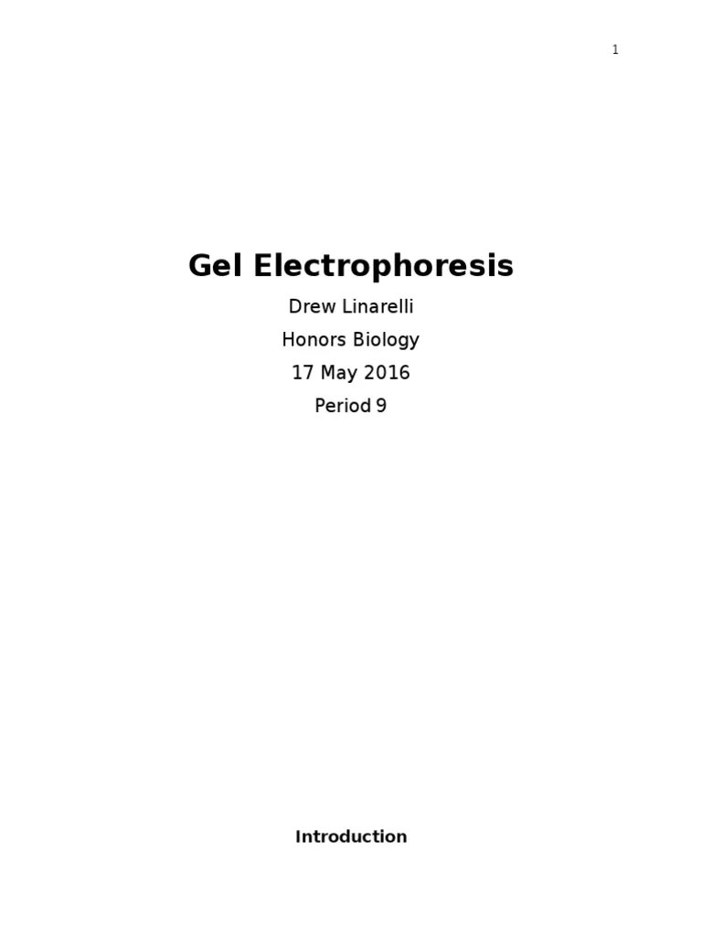 Gel Electrophoresis Lab Report PDF Gel Electrophoresis Agarose