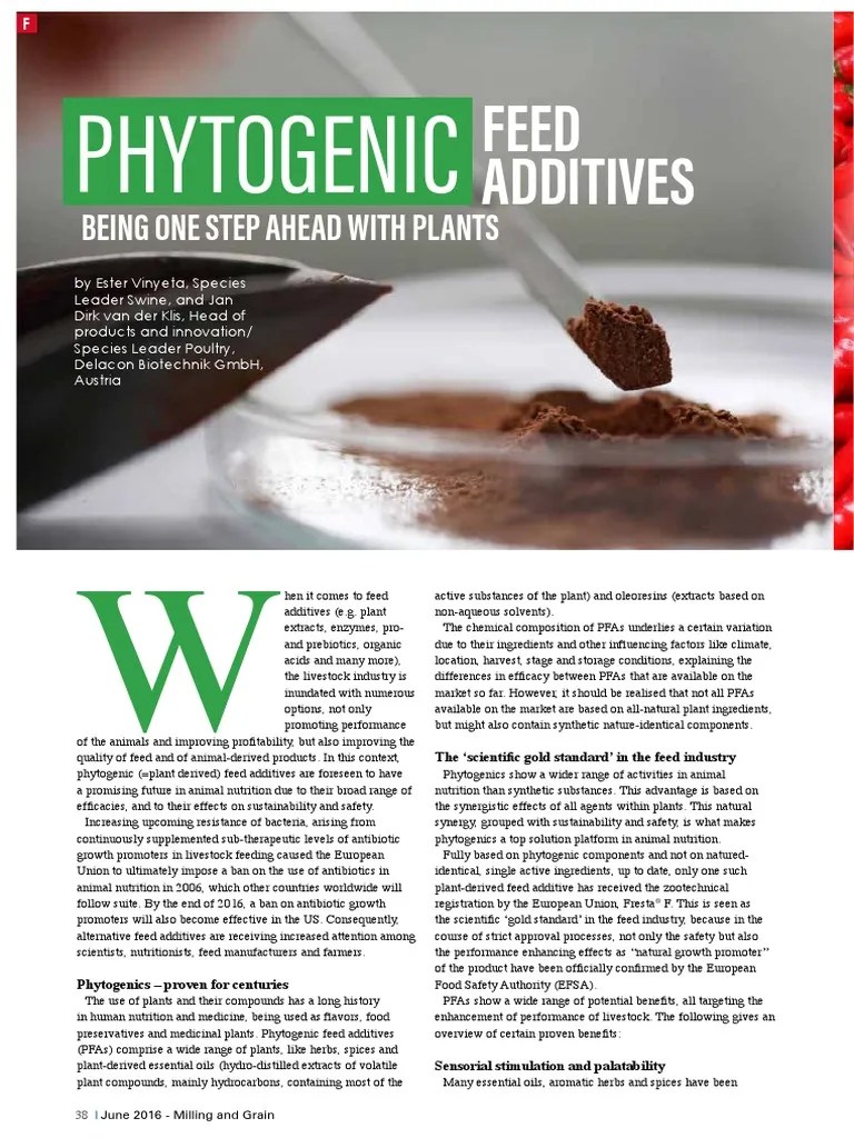 PHYTOGENIC FEED ADDITIVES Animal Feed Livestock