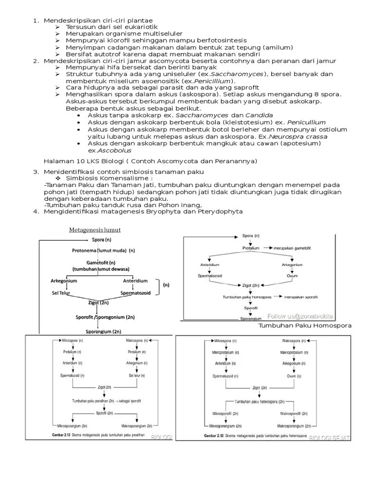Materi Biologi Kelas X Jenjang SMA Kurikulum 2013 .doc