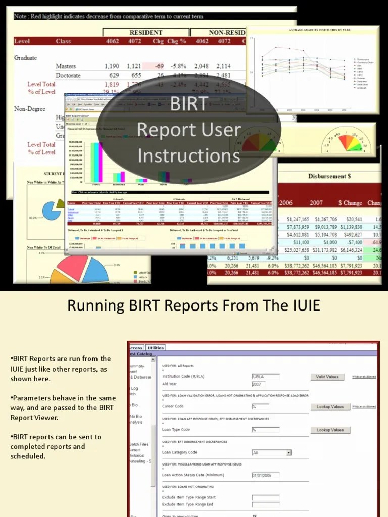 BIRT Report Instructions PDF Parameter Programming