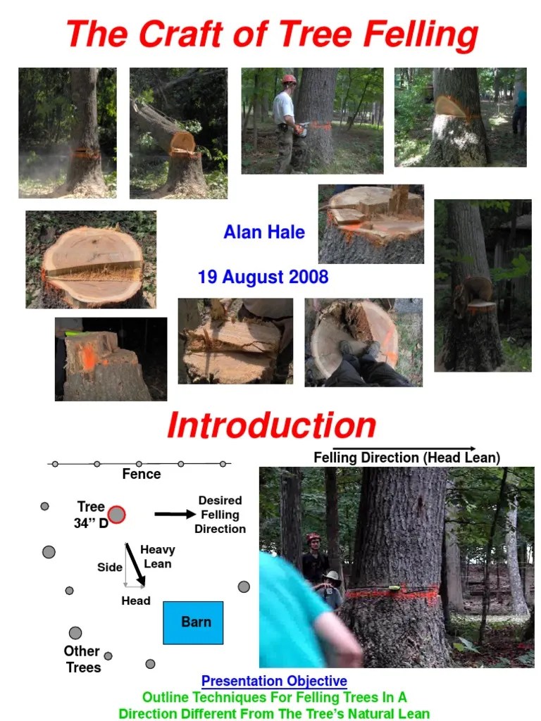 Tree_Felling_Presentation.pdf Trees Blade