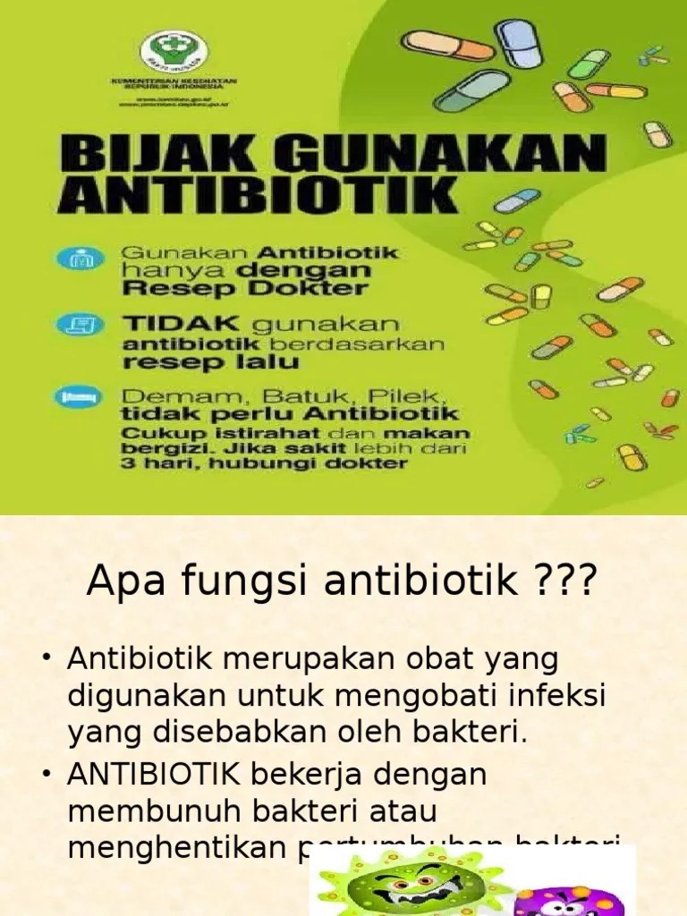 Penyuluhan Antibiotik | PDF
