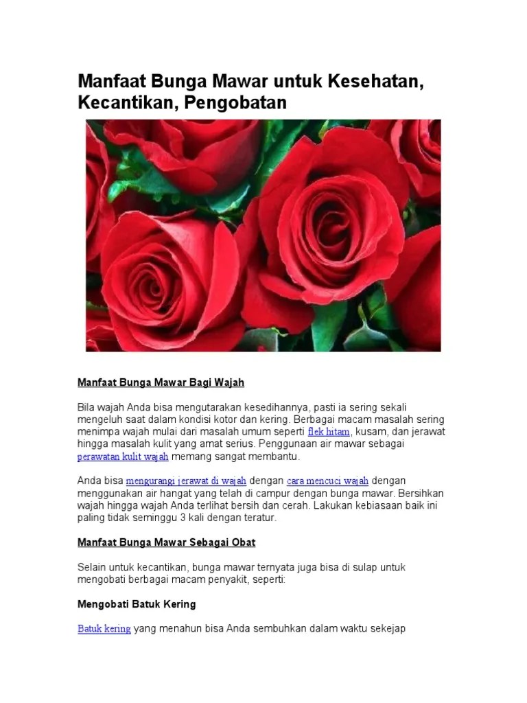 Teks Laporan Hasil Observasi Bunga Mawar Berbagi Teks Penting