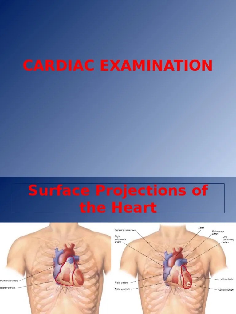 CARDIAC_EXAMINATION.pptx Circulatory System Cardiology Free 30