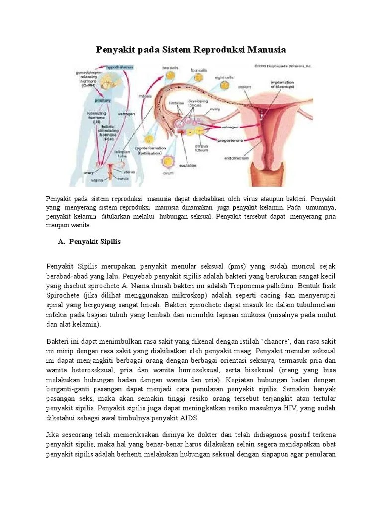 Penyakit Pada Sistem Reproduksi Manusia | PDF