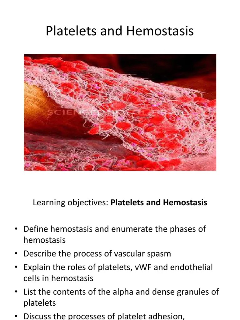 Platelets and Hemostasis Coagulation Platelet