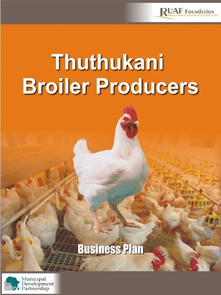 Business Plan Broiler Production Bulawayo PDF Retained Earnings