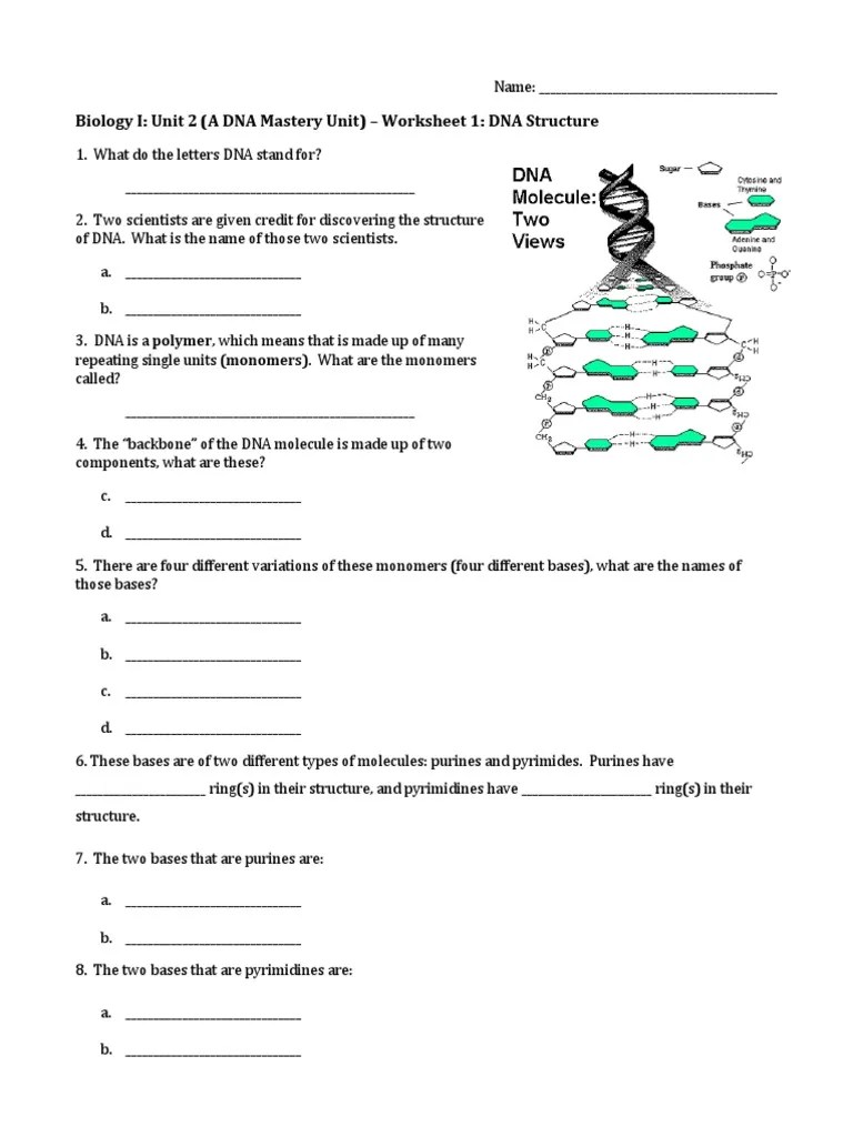 DNA Worksheet 2.pdf