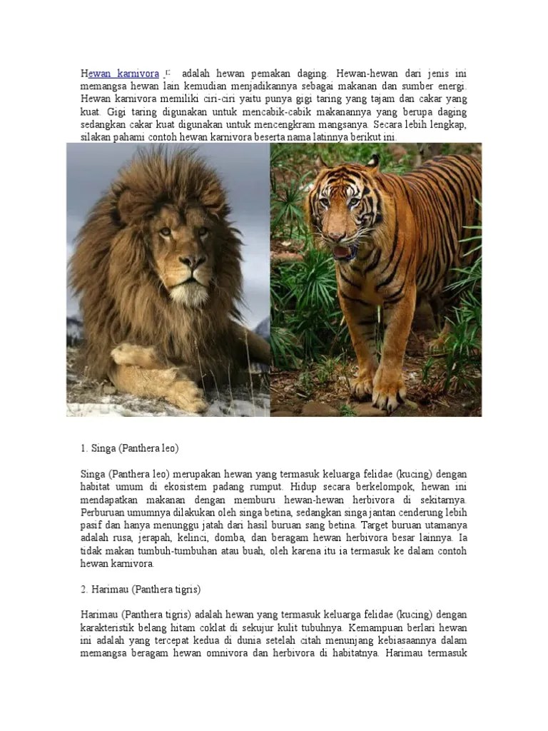 Hewan Carnovora | PDF