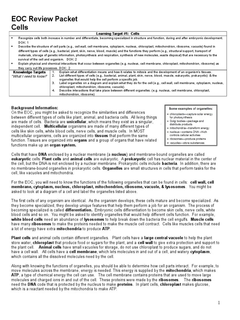 EOC Review Packet 2013 (1) | Dominance (Genetics) | Cell (Biology)