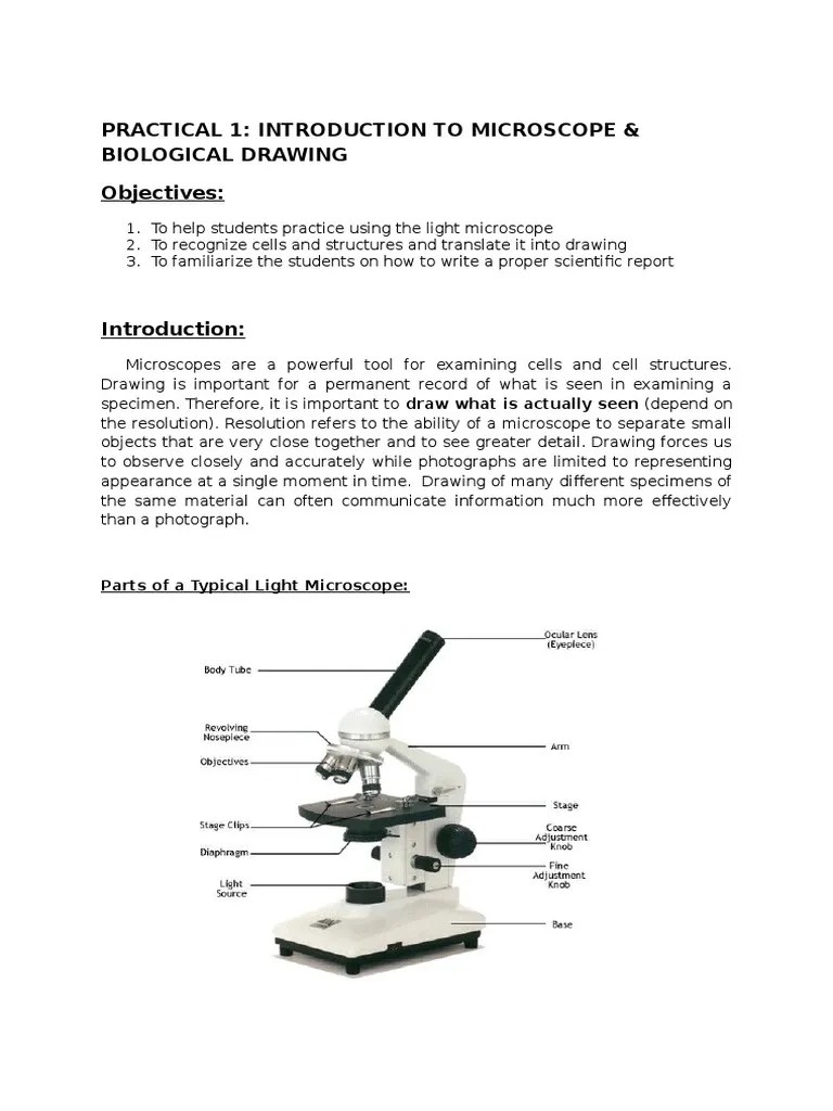 Practical 1 Microscope PDF Experiment Microscope