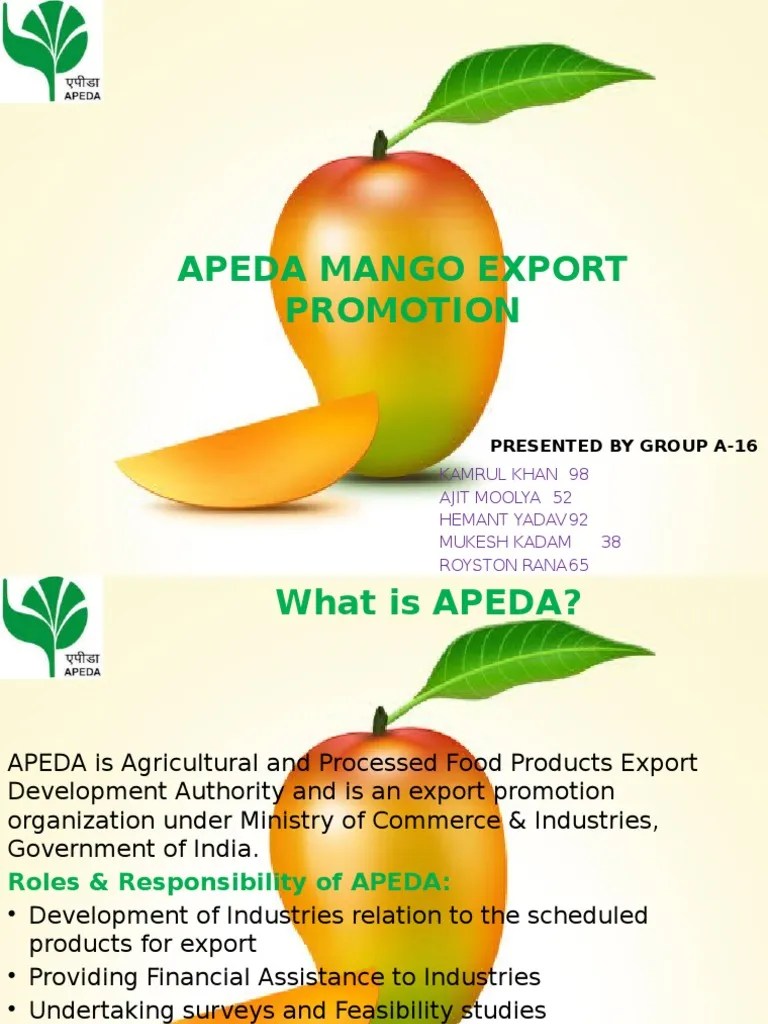 Mango Export Business in India APEDA Mango Foods