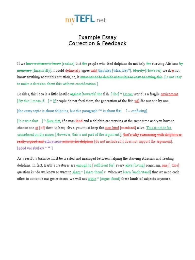 Example Essay Correction and Feedback Question Essays