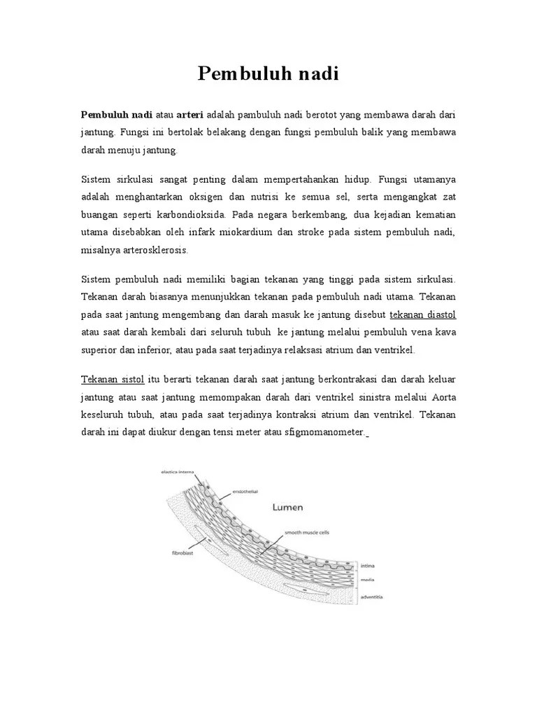 Anatomi Pembuluh Darah Nadi PDF(03)