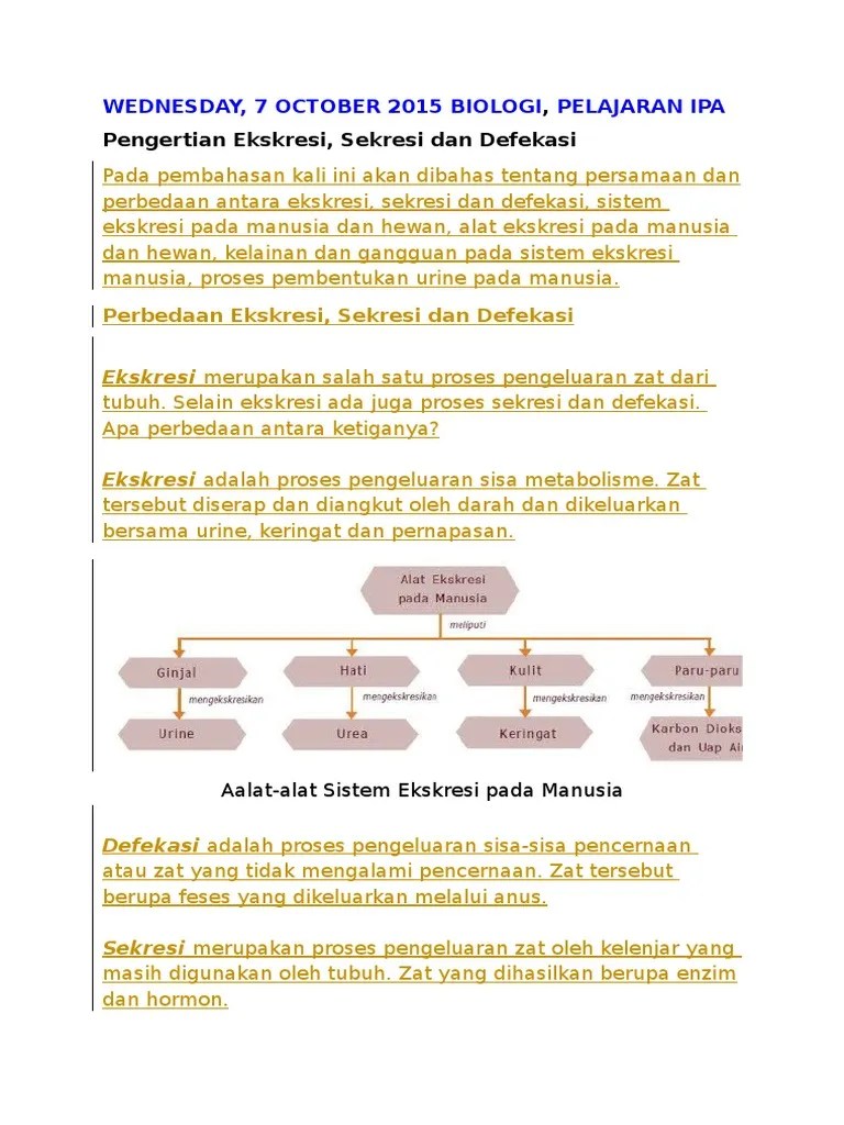 Defikasi Eleminasi (Askep) | PDF