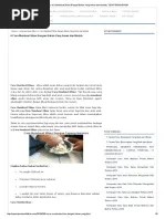 Lucky Center - Cara Download File Dari Ziddu | PDF