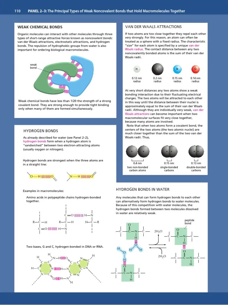Weak Chemical Bonds Hydrogen Bond Chemical Bond