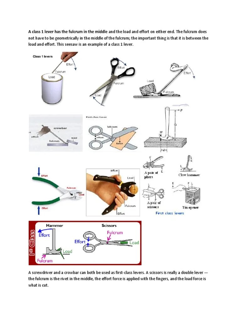 Types of Levers Lever Human Anatomy