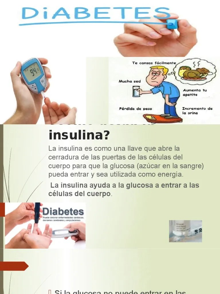 Cómo Actúa La Insulina Ppt Glucógeno Inyección (medicina)