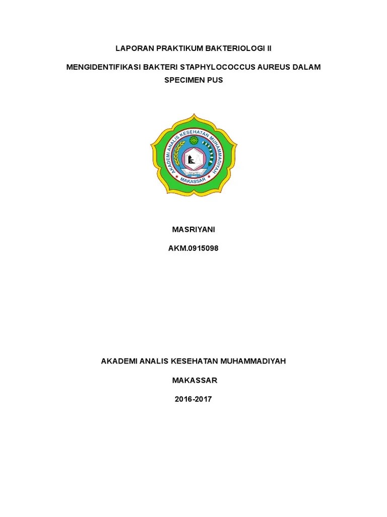 Laporan 1 Bakteriologi 2 | PDF