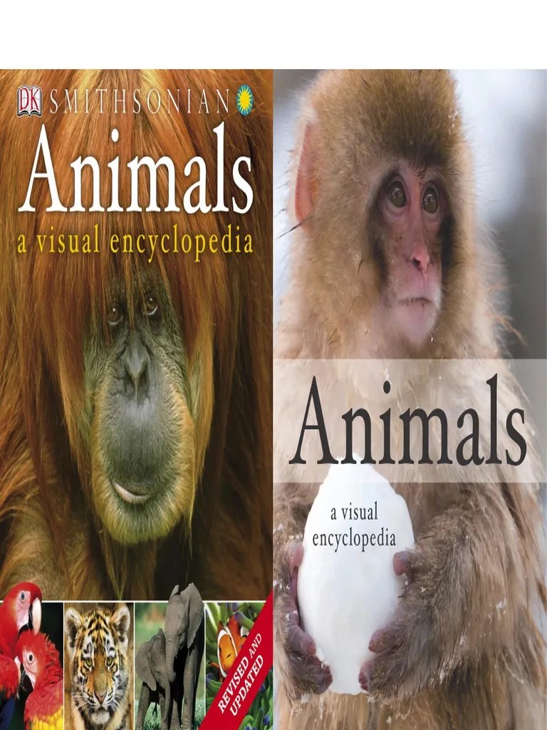 Animals. a Visual Encyclopedia