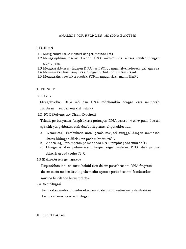 Laporan Parktikum PCR 1 | PDF