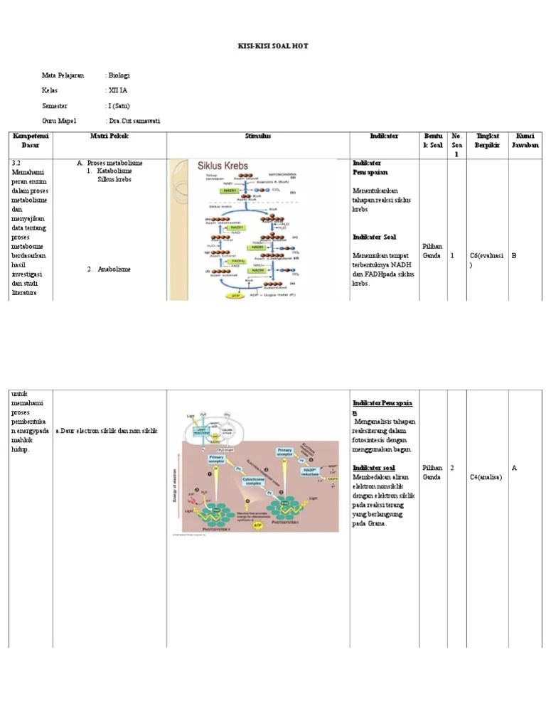 Kisi Soal Hots Metabolisme | PDF