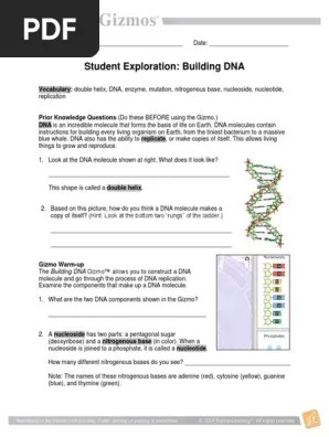 A nucleoside has two parts: Building Dna Dna Replication Dna