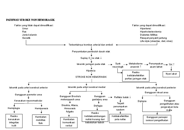 PATHWAY STROKE NON HEMORAGIK.doc