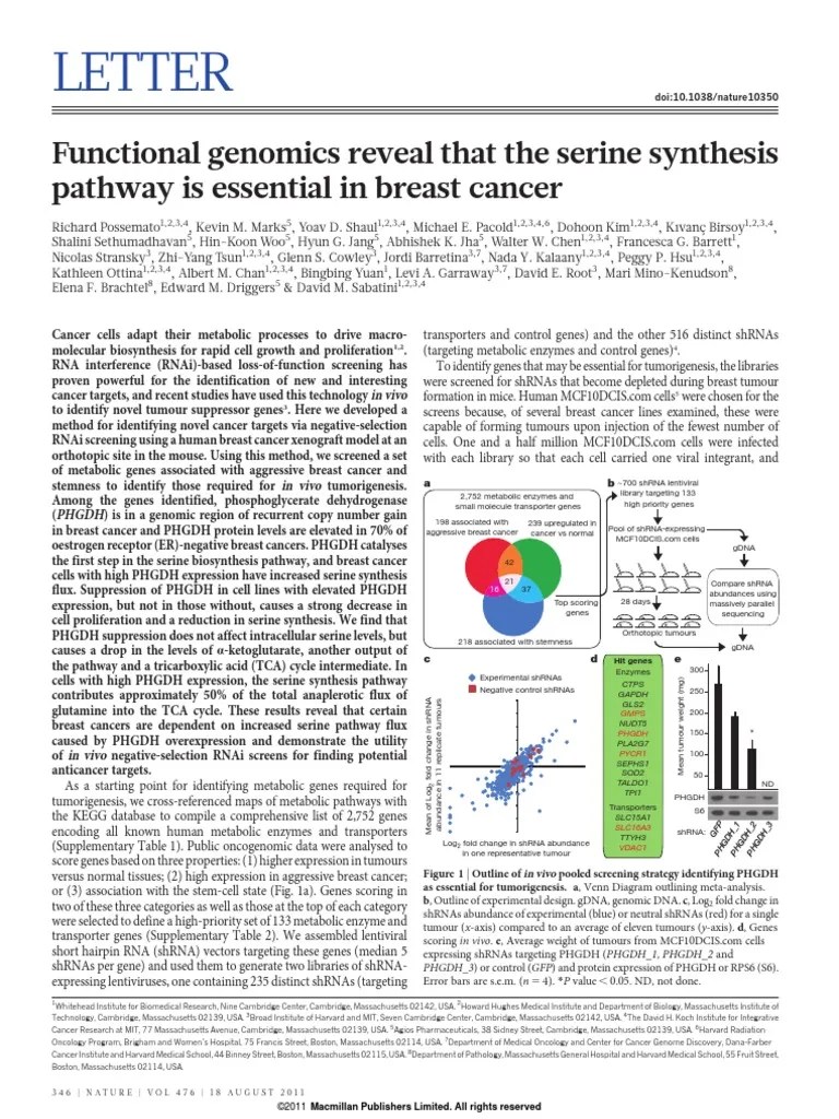 127360059 Jurnal Sistem Muskuloskeletal Gene Expression Metabolic