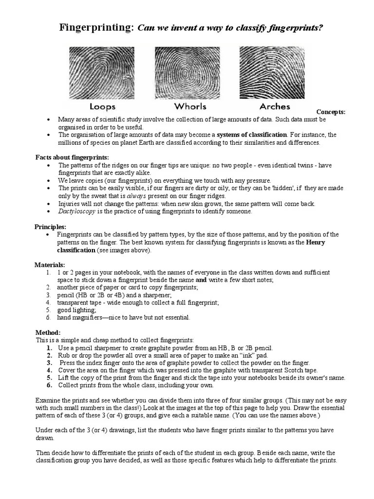 Classification of Fingerprints Worksheet Fingerprint