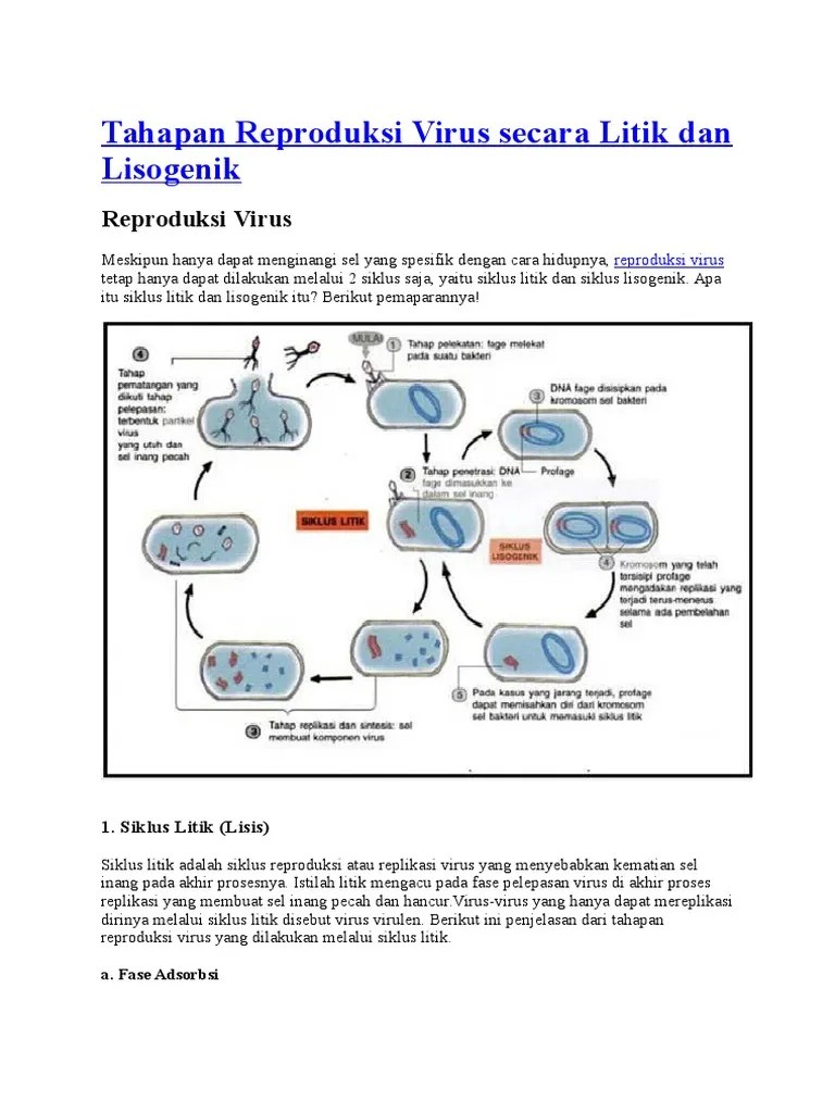 Tahapan Reproduksi Virus Secara Litik Dan Lisogenik | PDF