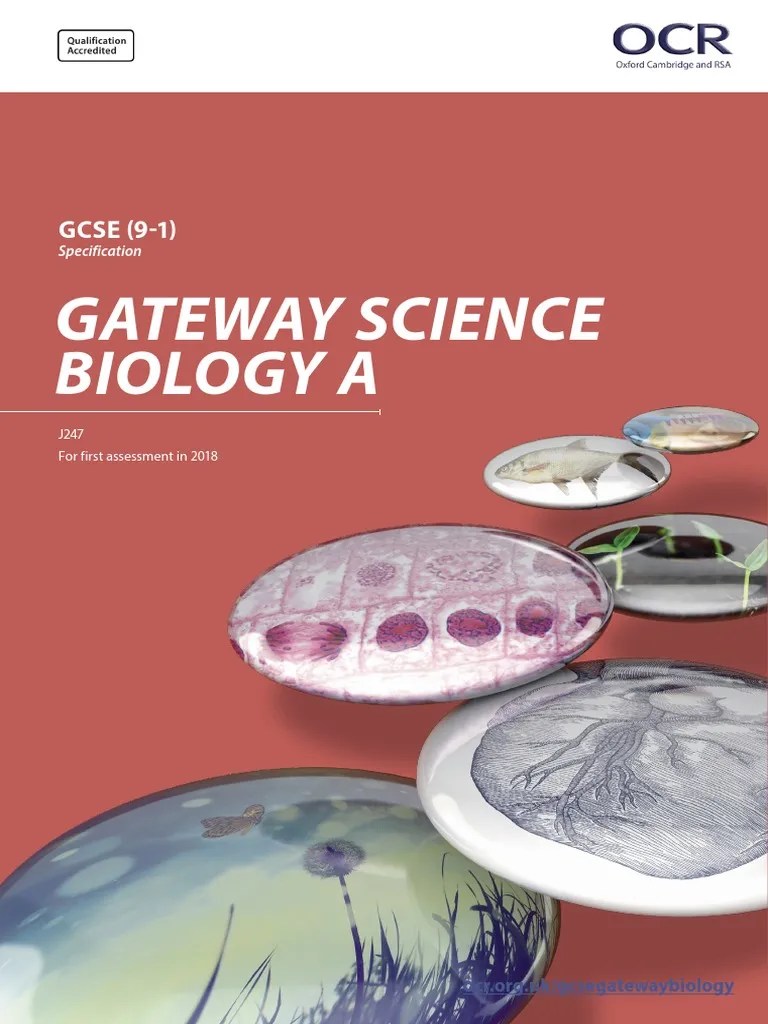 OCR GCSE Gateway Biology A Specification (2018) (J247).pdf