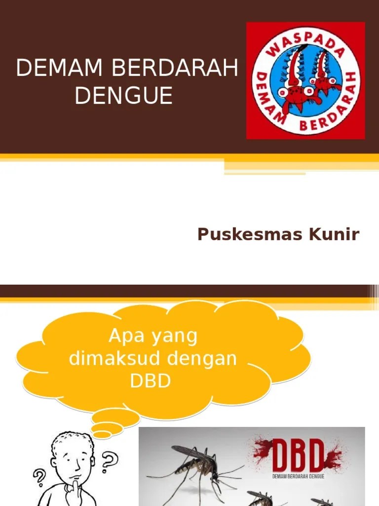 PENYULUHAN DBD.ppt