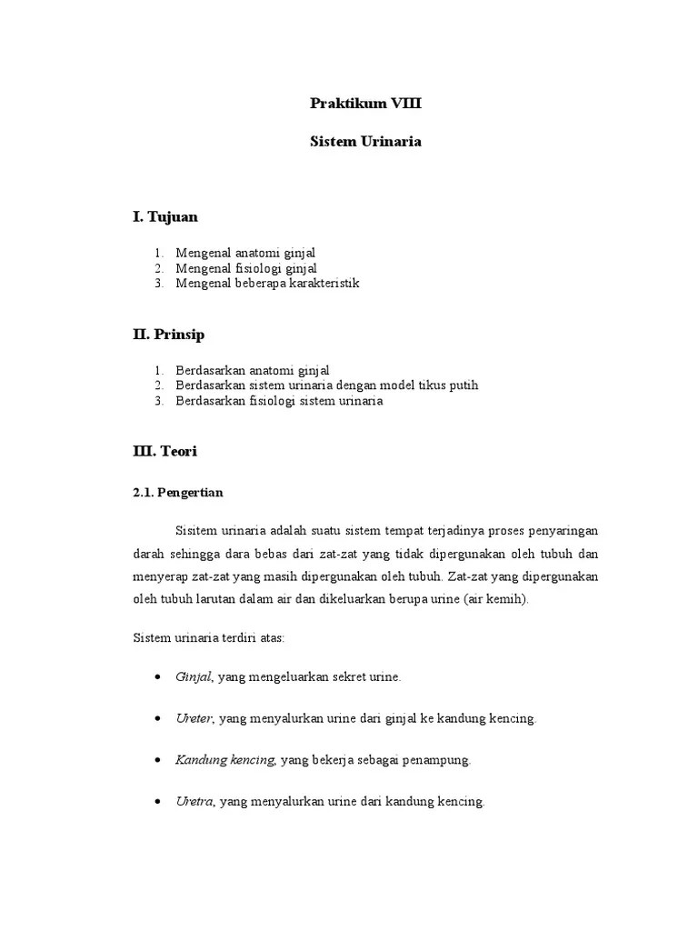 Jurnal Sistem Urinaria Https Repository Unimal Ac Id