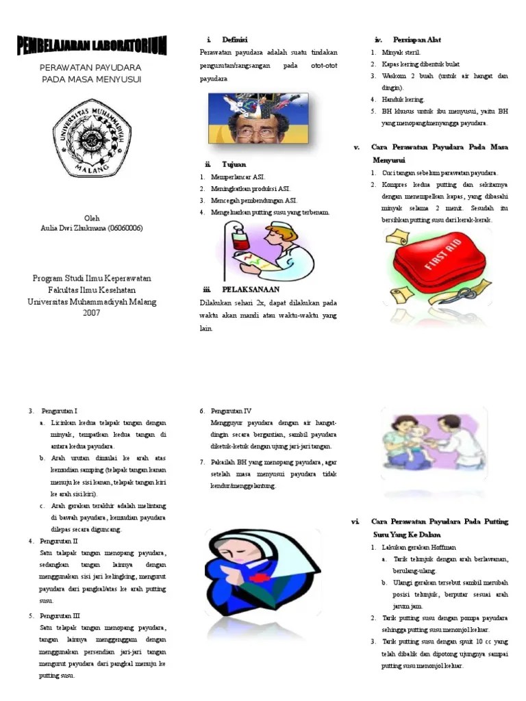 Perawatan Payudara Pada Masa Menyusui