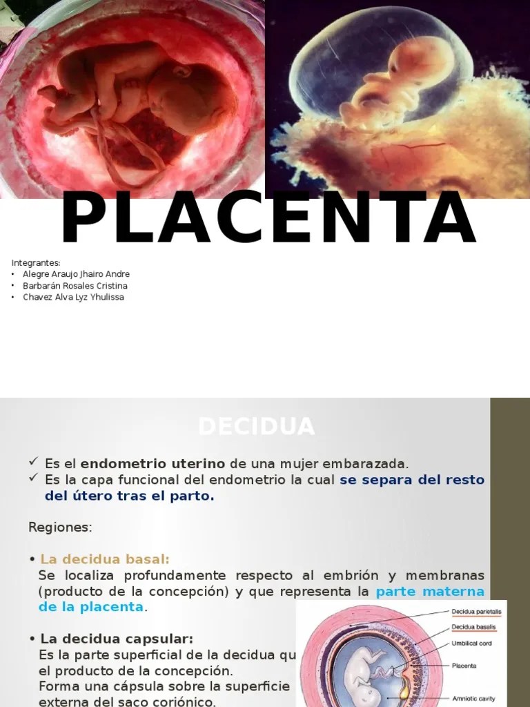 Placenta