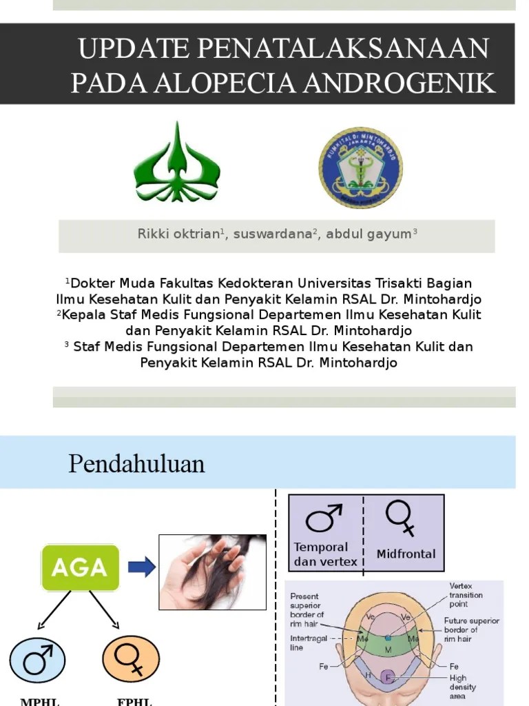 Alopecia Androgenik | PDF | Rambut Rontok | Tubuh Manusia